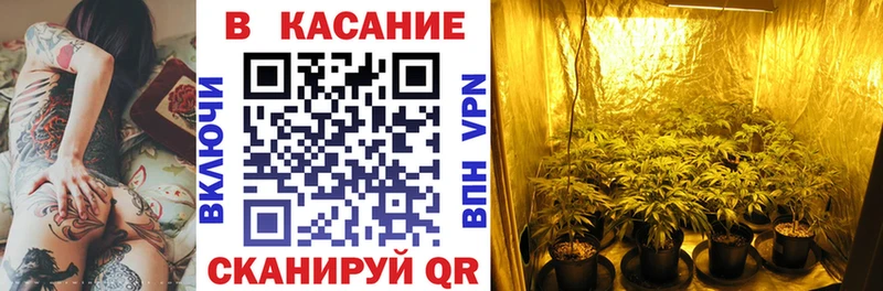 Наркота Чехов blacksprut сайт  МЕФ  Cocaine 