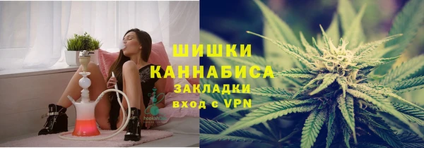 apvp Алзамай