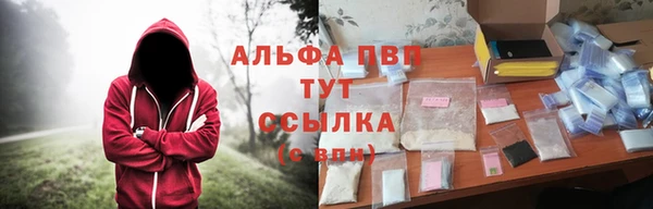 гашик Алексеевка