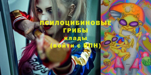 apvp Алзамай