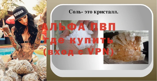 apvp Алзамай