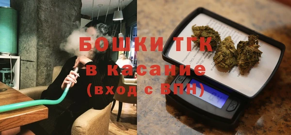 гашик Алексеевка