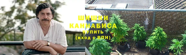 гашик Алексеевка