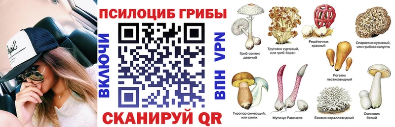 Псилоцибиновые грибы мухоморы Чехов